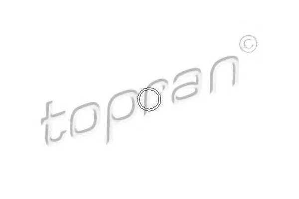 Кільце під форсунку TOPRAN / HANS PRIES 100678 (фото 1)