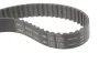 Ремкомплект ГРМ + помпа AUDI/SEAT/SKODA/VW A3/Toledo/Octavia/Bora/Caddy/Golf/Polo "1,9D "95-10 SKF VKMC01251 (фото 2)