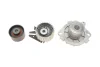 Роликовый модуль натяжителя ремня (ролик, ремень, насос) SKF VKMC02194 (фото 8)