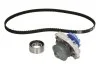 Роликовый модуль натяжителя ремня (ролик, ремень, насос) SKF VKMC02203