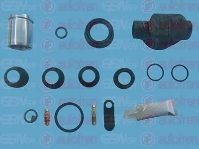 Ремкомплект, тормозной суппорт SEINSA AUTOFREN D41625C