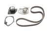 Комплект ГРМ (ремінь + ролик + водяний насос) RENAULT GRAND SCENIC III, LAGUNA II, MEGANE, MEGANE II, MEGANE III, SCENIC II, SCENIC III SUZUKI GRAND VITARA II 1.9D 11.02-09.16 SKF VKMC06008 (фото 1)
