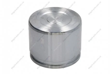 Поршень, корпус скобы тормоза SEINSA AUTOFREN D025429