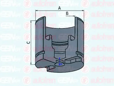 Поршень, корпус скобы тормоза SEINSA AUTOFREN D025256 (фото 1)