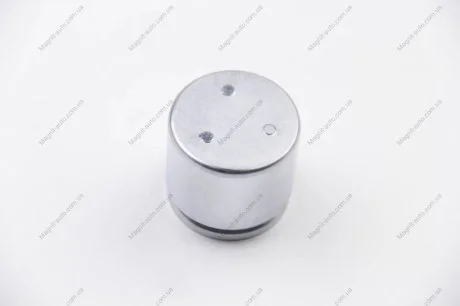Поршень, корпус скобы тормоза SEINSA AUTOFREN D025265