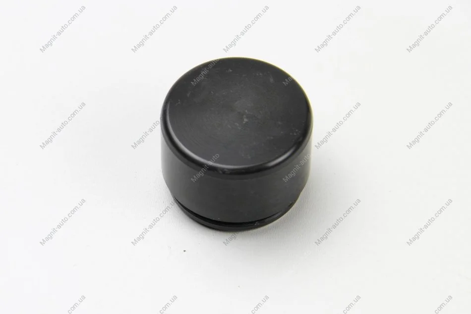 Поршень суппорта перед BMW 1/2/3/4/MB W211/212/221/Touareg 44x32 AUTOFREN D025407 (фото 1)
