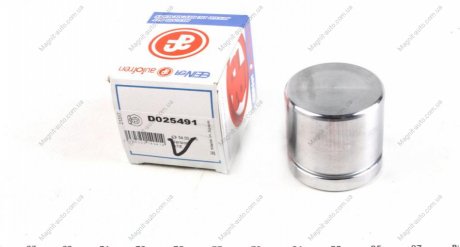 Поршень, корпус скобы тормоза SEINSA AUTOFREN D025491