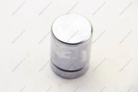 Поршень, корпус скобы тормоза SEINSA AUTOFREN D025518