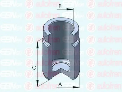 Поршень, корпус скобы тормоза SEINSA AUTOFREN D025562 (фото 1)