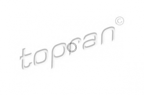 Прокладка, болт крышка головки цилиндра TOPRAN / HANS PRIES 206528 (фото 1)