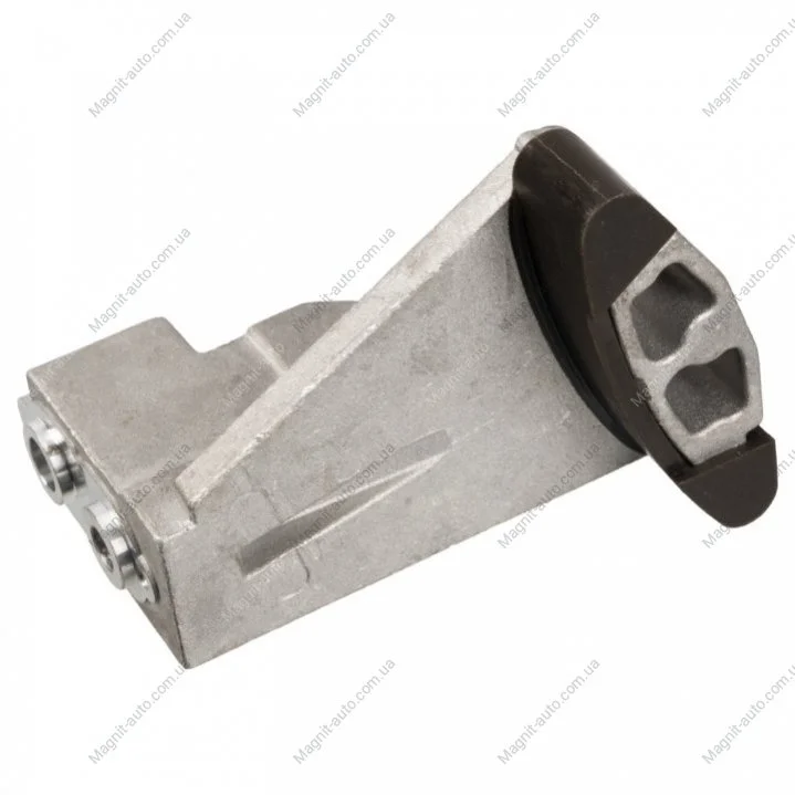 Планка успокоителя, цепь привода FEBI BILSTEIN 24901 (фото 1)