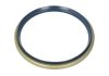 Уплотняющее кольцо, ступица колеса CORTECO 12017138B (фото 1)