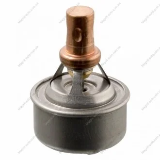 Термостат, охолоджуюча рідина FEBI BILSTEIN 09328