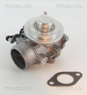 Клапан рецеркуляції відпрацьованих газів TRISCAN 881329201 (фото 1)