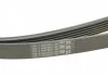 Поликлиновой ременный комплект CONTITECH Contitech 6PK2260K1 (фото 9)
