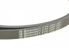 Поликлиновой ременный комплект CONTITECH Contitech 6PK2260K1 (фото 10)