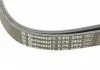 Поликлиновой ременный комплект CONTITECH Contitech 6PK2404K1 (фото 17)