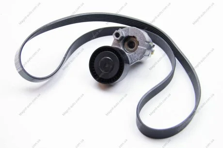 Поликлиновой ременный комплект RENAULT 117203694R