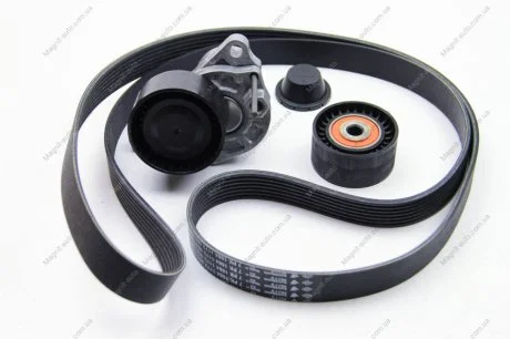 Поликлиновой ременный комплект RENAULT 117205040R