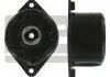 Роликовый модуль натяжителя ремня SKF VKM38304 (фото 1)