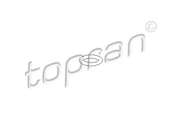 Прокладка термостату, CITROEN Berlingo, CITROEN Jumpy, OPEL Movano, 1.9-2.5, 00- TOPRAN / HANS PRIES 104529 (фото 1)