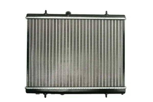 Основной радиатор (двигателя) THERMOTEC D7P040TT (фото 1)