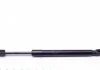 Пружина газова AUDI A4 11/04-06/08 STABILUS 020878 (фото 5)