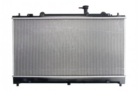 Основной радиатор (двигателя) THERMOTEC D73019TT (фото 1)