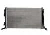 Основной радиатор (двигателя) THERMOTEC D7R051TT (фото 1)