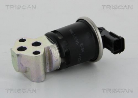 Клапан рецеркуляції відпрацьованих газів TRISCAN 881321008