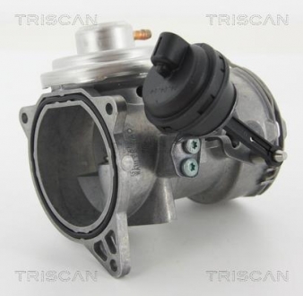 Клапан рецеркуляції відпрацьованих газів TRISCAN 881329070 (фото 1)