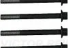 Комплект болтів ГБЦ VOLVO S80 II, XC90 I 4.4 01.05-03.12 VICTOR REINZ 143230401 (фото 2)