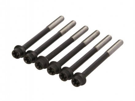 Комплект болтов головки цилидра REINZ VICTOR REINZ 143237601