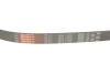 Комплект ременя генератора Caddy 2.0 TDI 15- Gates K016PK1025 (фото 7)