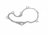 POMPA WODY FORD 1,8TDCI FOCUS CONTITECH Contitech WPS3006 (фото 11)