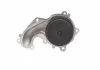 POMPA WODY FORD 1,8TDCI FOCUS CONTITECH Contitech WPS3006 (фото 3)