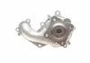 POMPA WODY FORD 1,8TDCI FOCUS CONTITECH Contitech WPS3006 (фото 5)