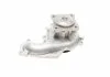 POMPA WODY FORD 1,8TDCI FOCUS CONTITECH Contitech WPS3006 (фото 7)