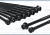 Комплект болтів ГБЦ HYUNDAI GENESIS, GRANDEUR, H-1 CARGO, H-1 TRAVEL, I30, IX35, KONA, SANTA FE IV, SANTA FÉ II, SANTA FÉ III, SONATA V, SONATA VI, SONATA VII, TUCSON 2.0-2.4LPG 01.05- AJUSA 81045900 (фото 2)