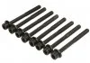 Комплект болтів ГБЦ INFINITY FX 35, QX50 I, QX60 2.5, 3.5i/ NISSAN MURANO (I, II) 3.5i (8шт) Ajusa AJUSA 81047800 (фото 2)