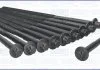 Комплект болтов ГБЦ MB A-Class (W168,W169), B-Class (W245) 1.4, 1.5, 1.6, 2.0i Ajusa AJUSA 81034500 (фото 1)