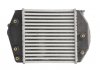 Радиатор охлаждения воздуха THERMOTEC DA3002TT (фото 2)