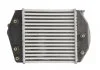 Интеркуллер MAZDA 6, MPV II 2.0D 06.02-08.07 THERMOTEC DA3002TT (фото 2)