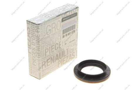 Сальник хвостовика master 3 RENAULT 381895167R (фото 1)