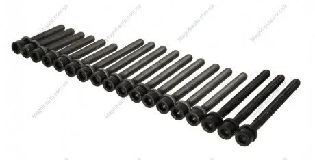Комплект болтів ГБЦ SEAT TOLEDO II VW BORA, BORA I, GOLF IV, PASSAT B5 2.3 10.96-06.06 ELRING 804860