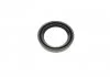 Ремкомплект суппорта с поршнем суппорта FRENKIT 254916 (фото 13)
