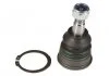 Слоеная опора лев/прав (нижн передн) NISSAN PIXO SUZUKI ALTO VII, CELERIO, SWIFT IV, SWIFT V 1.0-1.6 01.09- MOOG NIBJ12582 (фото 1)