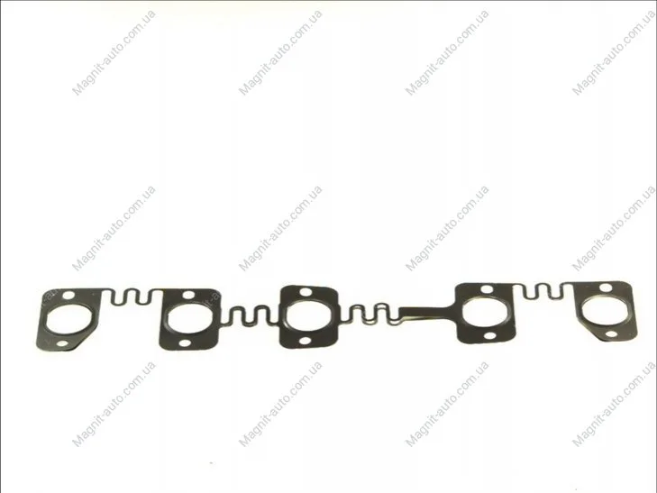 Прокладка колектора EX, 5.0 R50/V10 TDI 02-10 ELRING 017950 (фото 1)