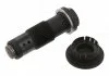 Натяжитель, цепь привода FEBI BILSTEIN 30506