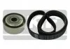 Поликлиновой ременный комплект SKF VKMA33132 (фото 1)